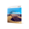 D'Addario EJ16