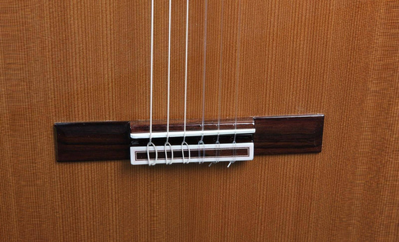 Admira Virtuoso EC Fish elektroklasyczna