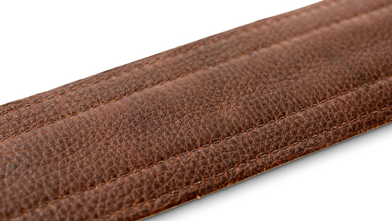 Taylor Reflections Strap,Spruce/Ebony Lthr,2.5" - pasek