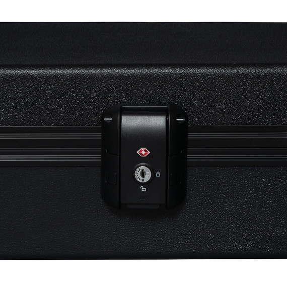 Epiphone Adam Jones 1979 Les Paul Custom (Incl. Protector Case) Antique Silverburst gitara elektryczna