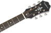 Epiphone SST Coupe AN