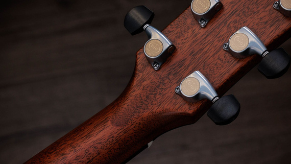 Taylor Gold Label 814e - gitara elektroakustyczna