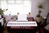 ALESIS Recital White Pianino Cyfrowe