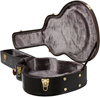 Epiphone PRO-1 Hard Case