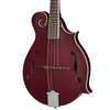 Epiphone F-5 Studio (Incl. Premium Gig Bag) Wine Red Satin mandolina