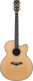Arrow Platinum J CE SIT/RW Sitka/Rosewood - gitara elektroakustyczna