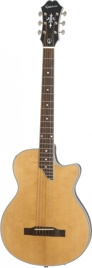 Epiphone SST Coupe AN