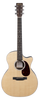 Gitara elektroakustyczna MARTIN GPC-13E Ziricote