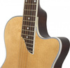 Epiphone SST Coupe AN
