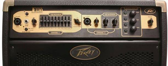 PEAVEY Ecoustic E110 wzmacniacz akustyczny 100W