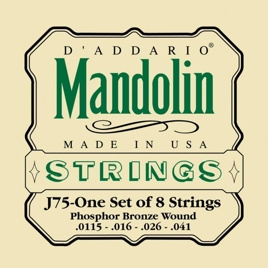 D'Addario J75