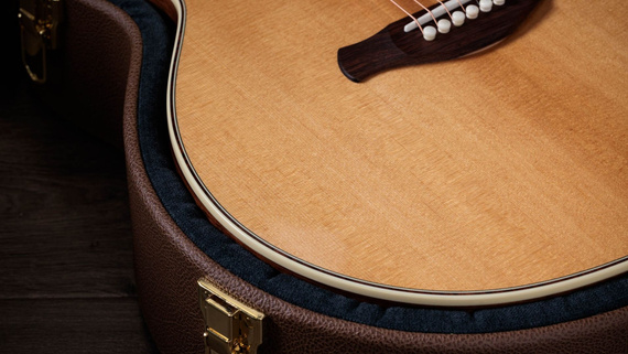 Taylor Gold Label 814e - gitara elektroakustyczna