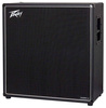 Kolumna gitarowa Peavey invective 412