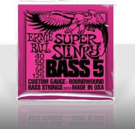 Ernie Ball EB2824