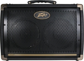 PEAVEY Ecoustic E208 wzmacniacz akustyczny 20W