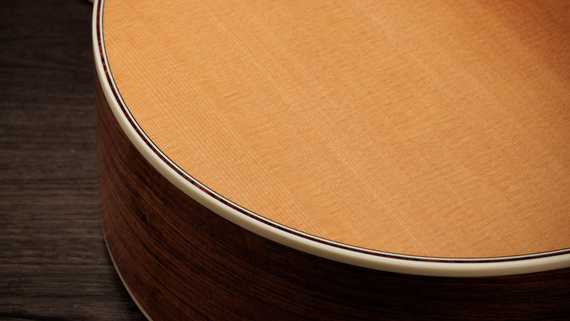 Taylor Gold Label 814e - gitara elektroakustyczna