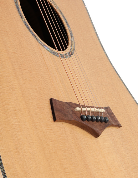 Arrow Platinum Elite D Sitka/Rosewood – gitara akustyczna dreadnought