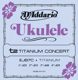 D'Addario EJ87C