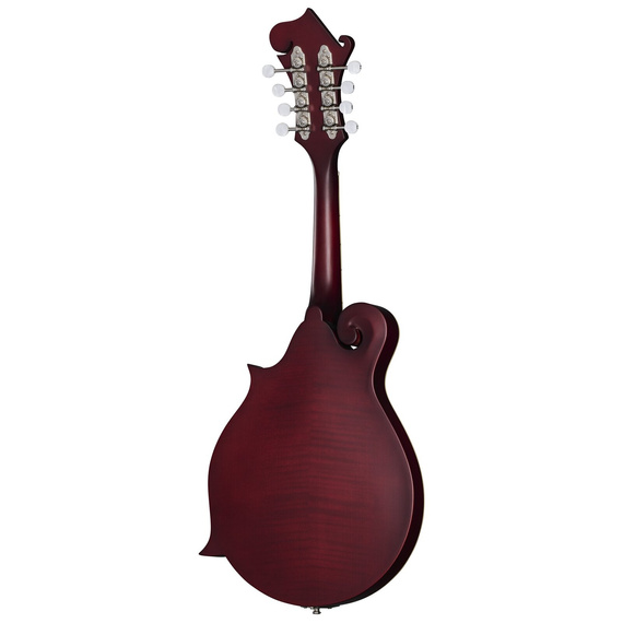 Epiphone F-5 Studio (Incl. Premium Gig Bag) Wine Red Satin mandolina