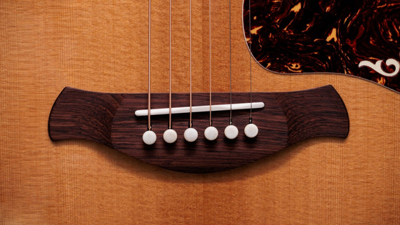 Taylor Gold Label 814e - gitara elektroakustyczna