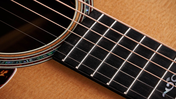 Taylor Gold Label 814e - gitara elektroakustyczna