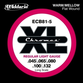 D'Addario ECB81-5