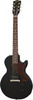 Ebony || Vintage Tobacco Burst