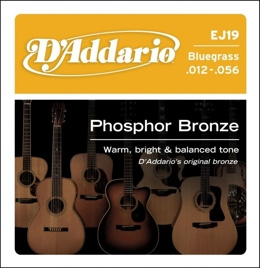 D'Addario EJ19