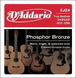 D'Addario EJ24