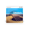 D'Addario EJ16