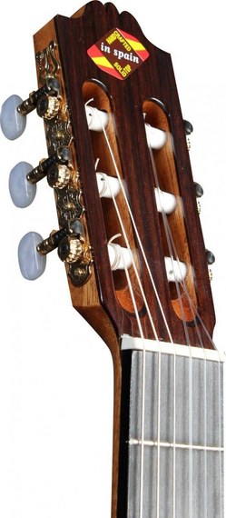 Admira Virtuoso EC Fish elektroklasyczna