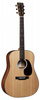 Martin Guitar D-10E-02