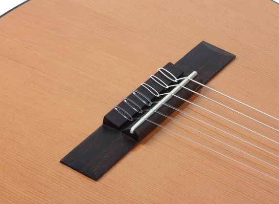 Admira Paloma v2 gitara klasyczna