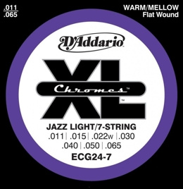 D'Addario ECG24-7