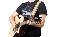 Taylor Reflections Strap,Spruce/Ebony Lthr,2.5" - pasek