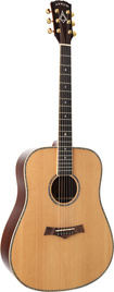 Arrow Platinum D SIT/RW Sitka/Rosewood - gitara akustyczna